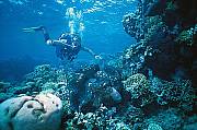 5 Day Learn to Dive Course - PADI Open Water